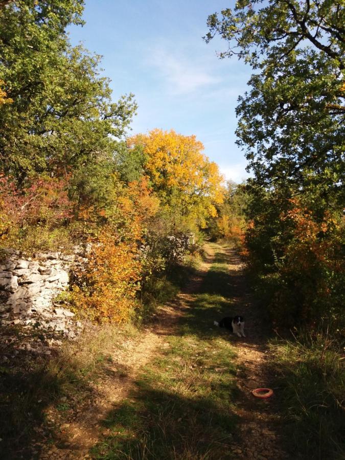 Les Trois Prunelles Saint-Pierre-Toirac Екстер'єр фото