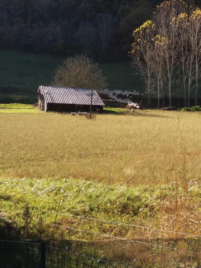 Les Trois Prunelles Saint-Pierre-Toirac Екстер'єр фото